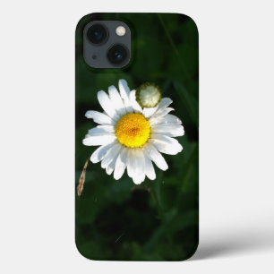 Case-Mate iPhone Case Photo Daisy iPhone 6/6, Tough Xtreme