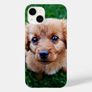 Coque Case-Mate iPhone Photo de chiot adorable mignon