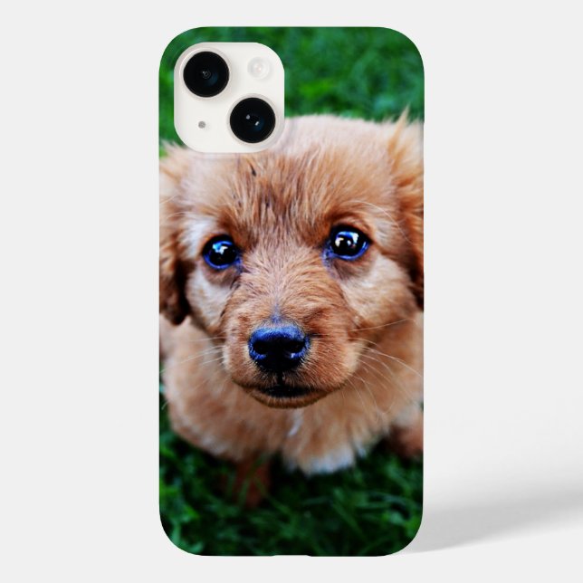 Coques Case-Mate iPhone Photo de chiot adorable mignon  (Verso)
