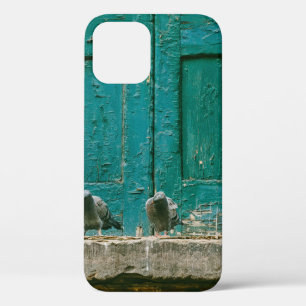 Case-Mate iPhone CASE PHOTO DE CLOSEUP DE DEUX PIGEONS GRIS SUR BÉTON G
