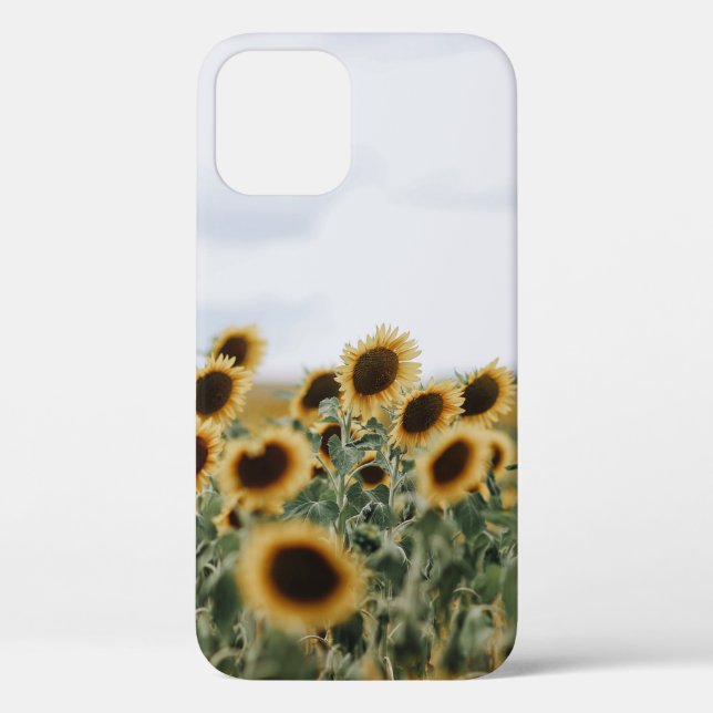 COQUES Case-Mate iPhone PHOTO DE CLOSEUP DE SUNFLOWERS (Verso)