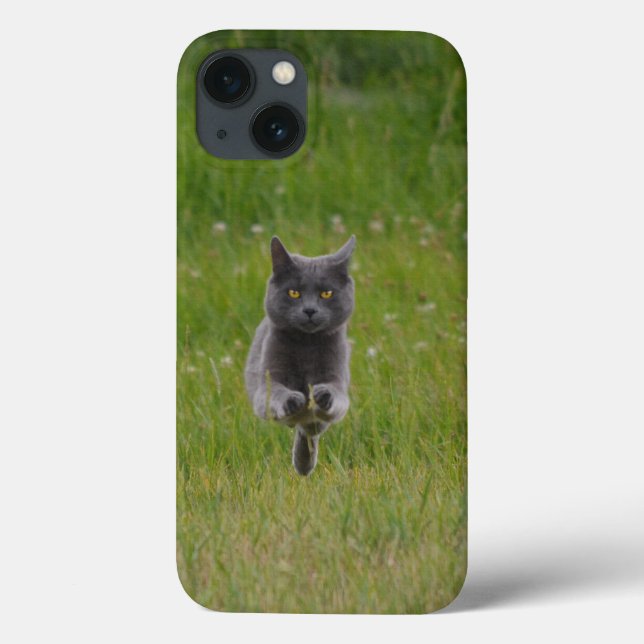 Coques Case-Mate iPhone Photo de Cute Grey Farm Cat Racing Across Green Gr (Verso)