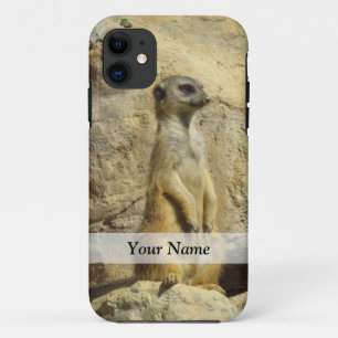 Coque iPhone 11 Photo de Cute meerkat