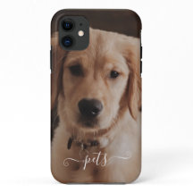 Photo de jolis animaux de compagnie pour se souven