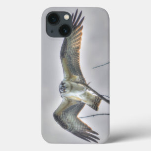 iPhone 13 Case Photo de la faune de l'Osprey juvénile - Aigle