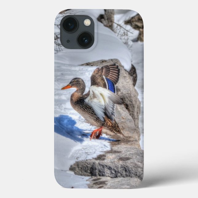 Coques Case-Mate iPhone Photo de la faune de Mallard Duck pour les amateur (Verso)