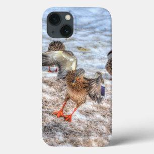 Etui iPhone 13 Photo de la faune de Mallard Duck pour les amateur