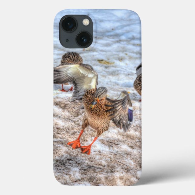 Coques Case-Mate iPhone Photo de la faune de Mallard Duck pour les amateur (Verso)