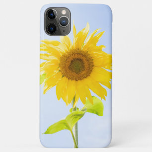 Case-Mate iPhone Case Photo de la nature des tourntournesols
