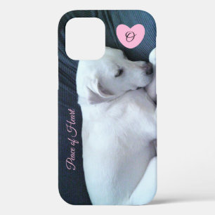 Case-Mate iPhone Case Photo de mignon chien dormant avec monogramme card