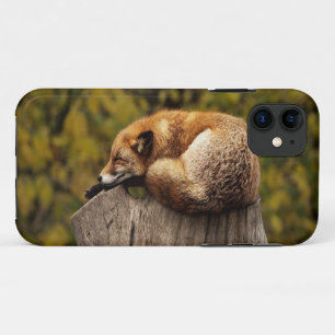 Case-Mate iPhone Case Photo de renard dormant