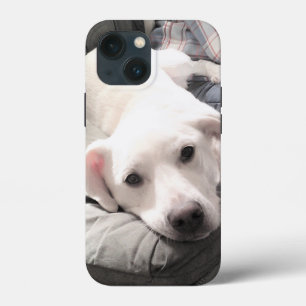 Case-Mate iPhone Case Photo du chien blanc mignon accroché avec papa