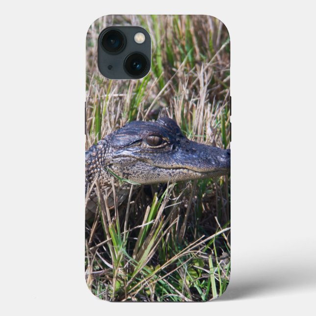 Coques Case-Mate iPhone Photo d'un bébé alligator reptile du marais de Flo (Verso)
