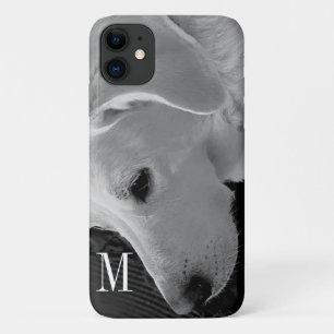 Case-Mate iPhone Case Photo en noir et blanc du magnifique chien blanc