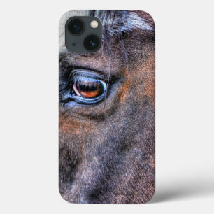 Etui iPhone 13 Photo équine du Cheval de Peinture pour les amateu