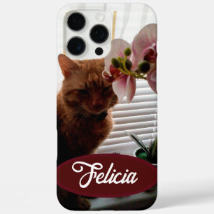 Coque iPhone 16 Pro Max Photo et nom du chat de gingembre, personnalisable