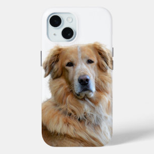 Coque Case-Mate iPhone Photo Golden Retriever Dog