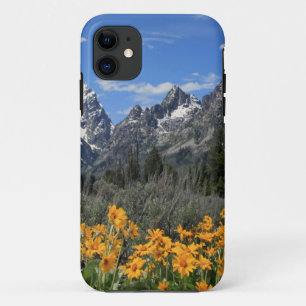 Coque iPhone 11 Photo Grand Teton Springtime Souvenir