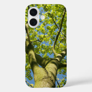 Coque Pour iPhone 16 Photo Green Tree Crown avec ciel bleu -
