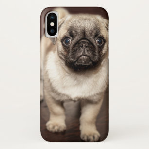 Case-Mate iPhone Case Photo mignonne de chiot de carlin