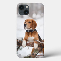 Photo personnalisée pour animal de compagnie