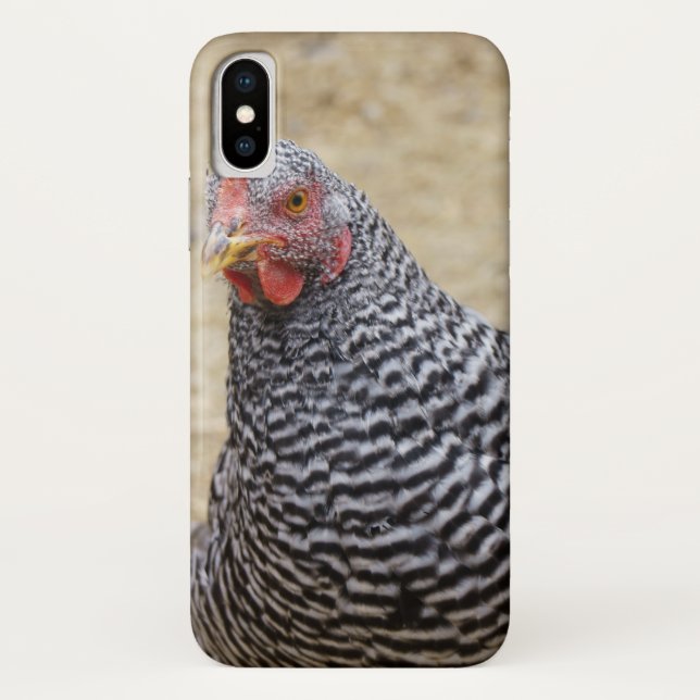 Coques Case-Mate iPhone Photographe de Plymouth Barred Rock (Dos)