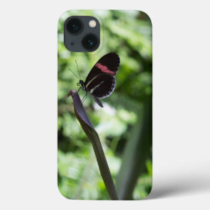 Etui iPhone 13 Photographie à papillon