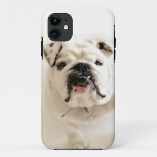 Etui iPhone Case-Mate Photographie blanche loyale de bouledogue