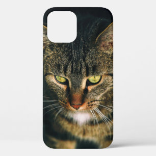 Case-Mate iPhone CASE PHOTOGRAPHIE COMPLÈTE DE TABY GRIS CAT