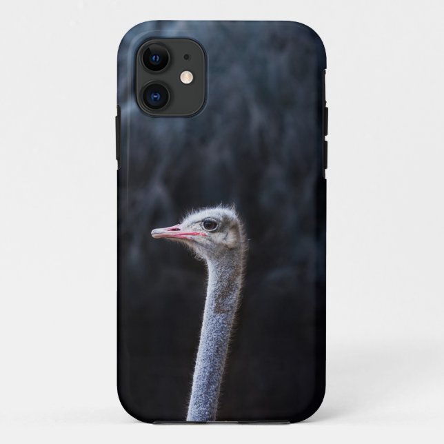 Coques Case-Mate iPhone Photographie d'autruche (Dos)