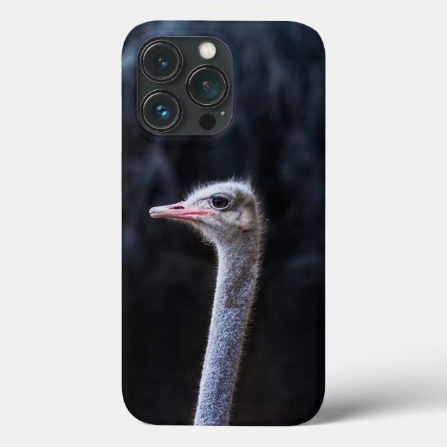 Coques Case-Mate iPhone Photographie d'autruche (Verso)