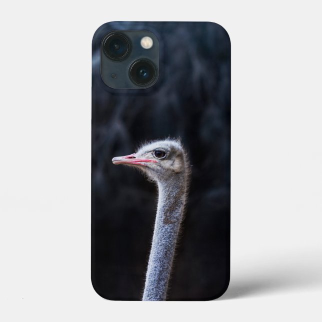 Coques Case-Mate iPhone Photographie d'autruche (Verso)