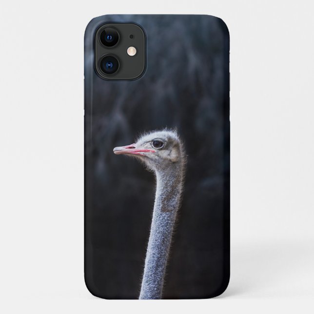 Coques Case-Mate iPhone Photographie d'autruche (Dos)