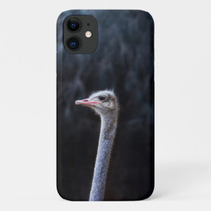Case-Mate iPhone Case Photographie d'autruche
