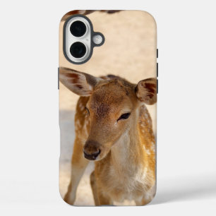 Coque Pour iPhone 16 Plus Photographie de cerfs fantaisistes de la forêt
