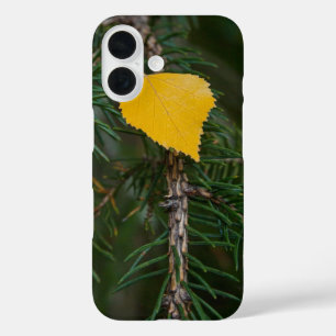 Coque Pour iPhone 16 Photographie de feuille de peuplier tremble jaune