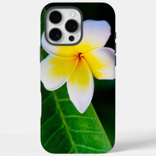 Coque iPhone 16 Pro Max Photographie de fleurs de plumeria