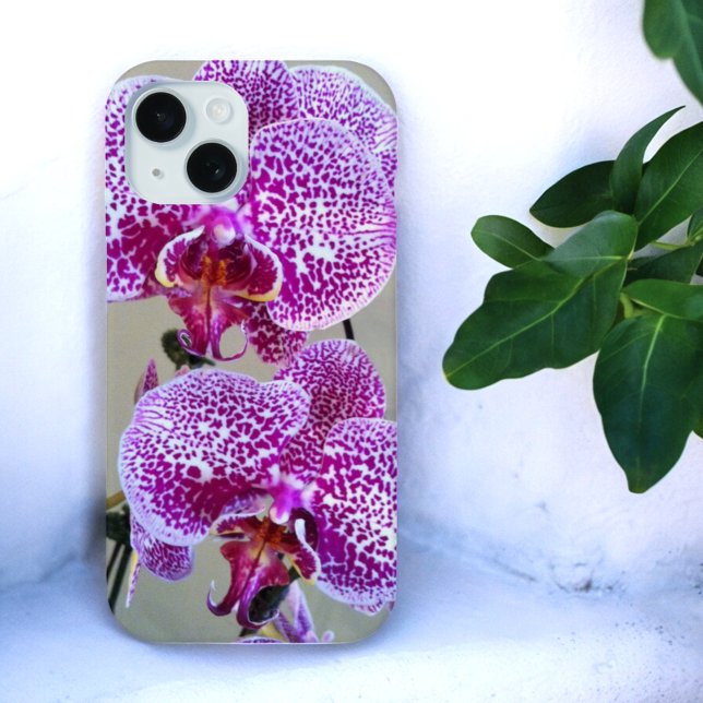 Coques Case-Mate iPhone Photographie de gros plan de l'orchidée violette (back of iPhone case with variegated purple and white orchid photo)