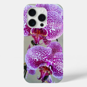 Coque iPhone 15 Pro Photographie de gros plan de l'orchidée violette