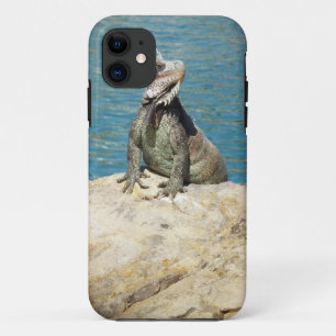 Coque Case-Mate iPhone Photographie de la faune tropicale Iguana à St. Th