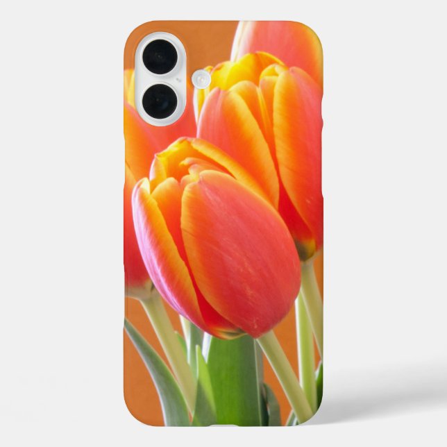 Coques Case-Mate iPhone Photographie de la tulipe orange bordée de jaune (Verso)