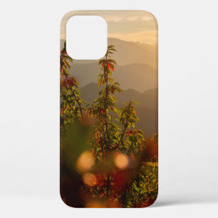 Case-Mate iPhone Case Photographie de nature d'arbres verts surplombant 
