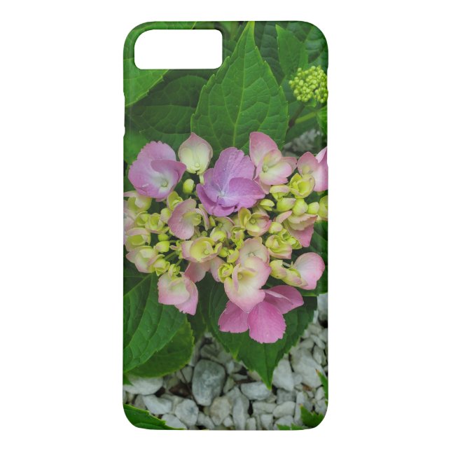 Coques Case-Mate iPhone Photographie de Nature Fleurs Roses Jolis (Dos)