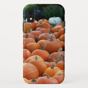 Case-Mate iPhone Case Photographie de récolte d'automne des citrouilles 