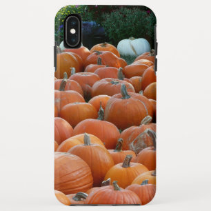 Case-Mate iPhone Case Photographie de récolte d'automne des citrouilles 