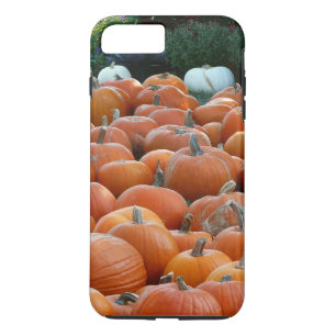 Coque Case-Mate iPhone Photographie de récolte d'automne des citrouilles