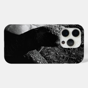 Coque Case-Mate iPhone Photographie de tortue en noir et blanc