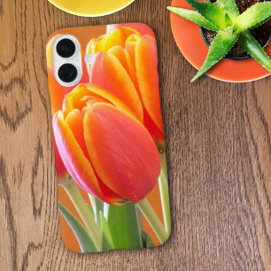 Coque Pour iPhone 16 Plus Photographie de tulipes orange à bordure jaune vib