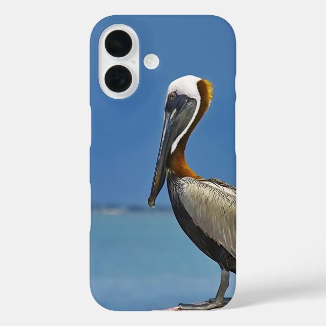 Coques Case-Mate iPhone Photographie d'observation d'oiseaux de Pélican (Verso)