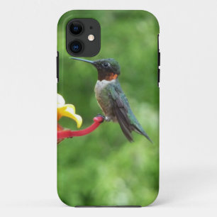 Coque Case-Mate Pour iPhone Photographie d'oiseau de colibri à gorge rubis